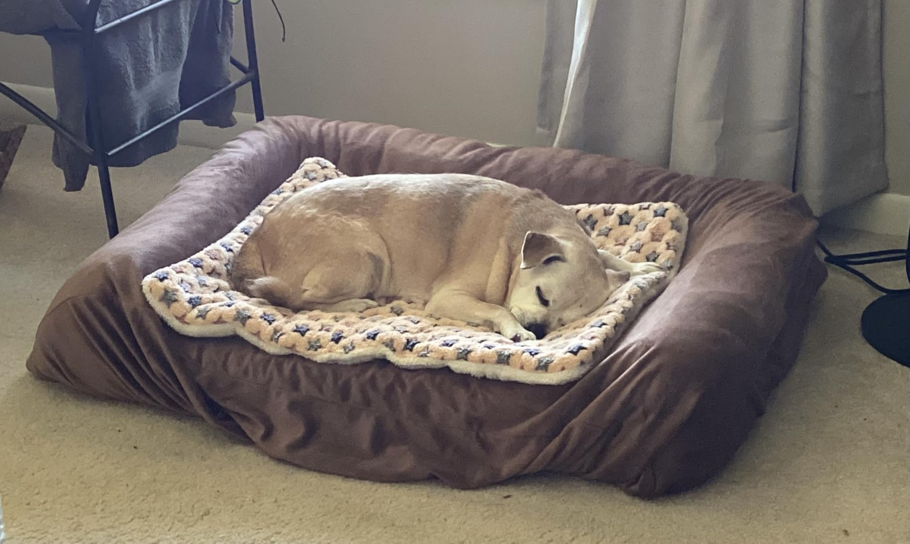 Bedsure ComfyFleece Orthopedic Dog Beds for Extra Large Dogs, Waterproof Memory Foam XL Pet Bed with Sides, Non-Slip and Egg-Crate Foam Big Dog Couch Sofa with Washable Corduroy Cover, Grey customer photo 2