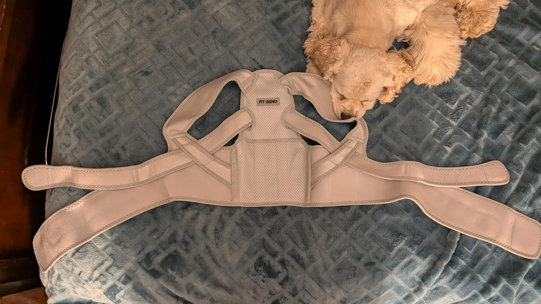 Fit Geno Posture Corrector for Women: Adjustable Lightweight Upper Back Brace for Neck Shoulder & Upper Back Pain Relief - Improve Posture Correct Hunchback Slouching Kyphosis Invisible Under Clothes (M/L Under Bust 32