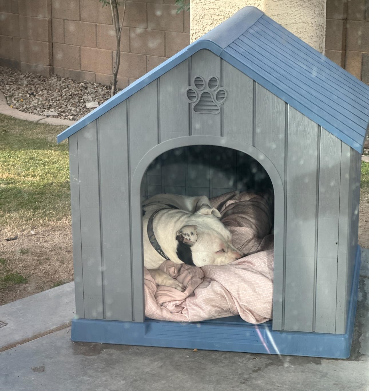 DRATO Large Dog House Indoor Outdoor Waterproof,Puppy Shelter with Air Vents and Elevated Floor,Sturdy Dog Kennel for Small to Large Sized Dogs, Easy to Assemble (Blue, 38.62×36.26×38.07 Inches) customer photo 2