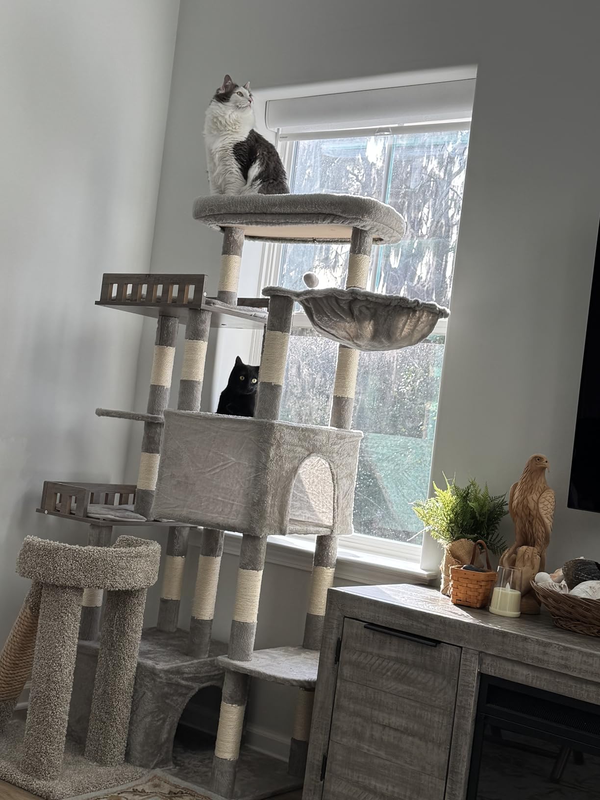 Gitelsnour Maine Coon Cat Tree, Heavy Duty Cat Tree for Indoor Cats Large Adult, Cat Tower for Large Cats 20 lbs+ with Hammock, 2 Big Perches, 2 Cat Condos, 15 Scratching Posts, Smoky Gray GCT033G customer photo 1