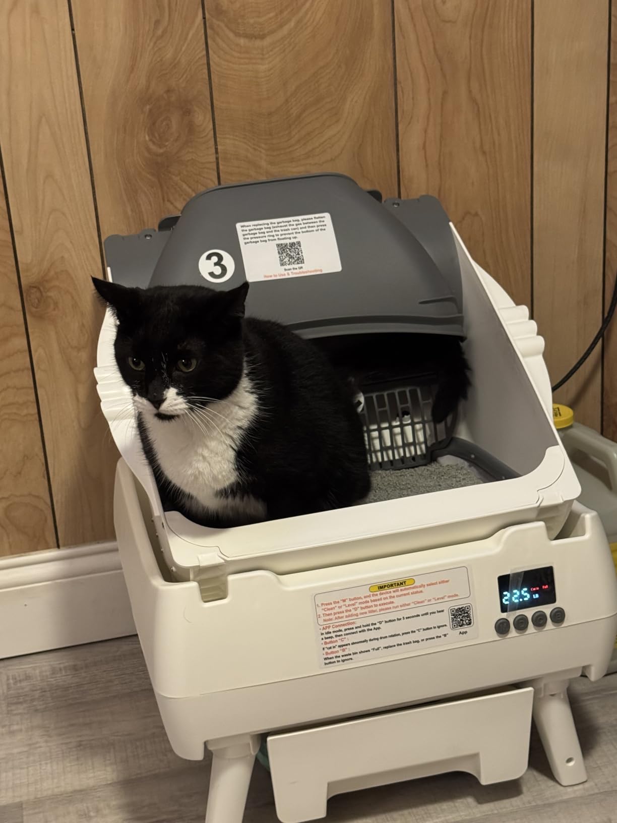 Automatic Cat Litter Box Self Cleaning - App Control, Open-Design, Smart Health Monitor, Suitable for Medium Cats and Kittens, Anti-Pinch Safety, Quiet Operation - White customer photo 1