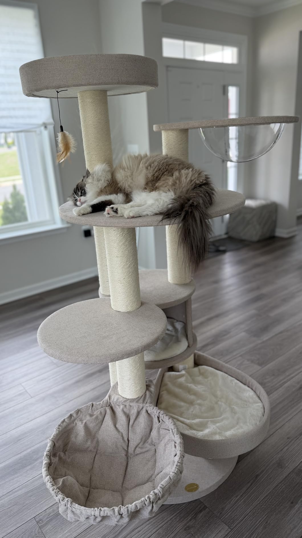 Extra Large Cat Tree for Maine Coon,65 Inches Tall Cat Tree Tower for Indoor Cats Large Adult 20 lbs,XXL Heavy Duty Luxury Sturdy Cat House with Big Hammock,Sisal Scratching Post,Condo customer photo 1