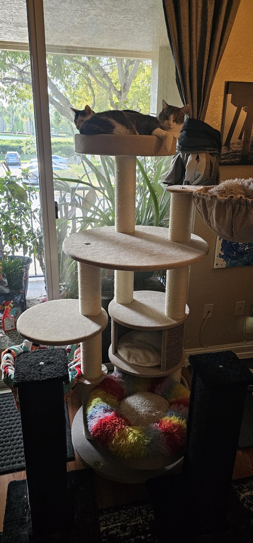 Extra Large Cat Tree for Maine Coon,65 Inches Tall Cat Tree Tower for Indoor Cats Large Adult 20 lbs,XXL Heavy Duty Luxury Sturdy Cat House with Big Hammock,Sisal Scratching Post,Condo customer photo 2