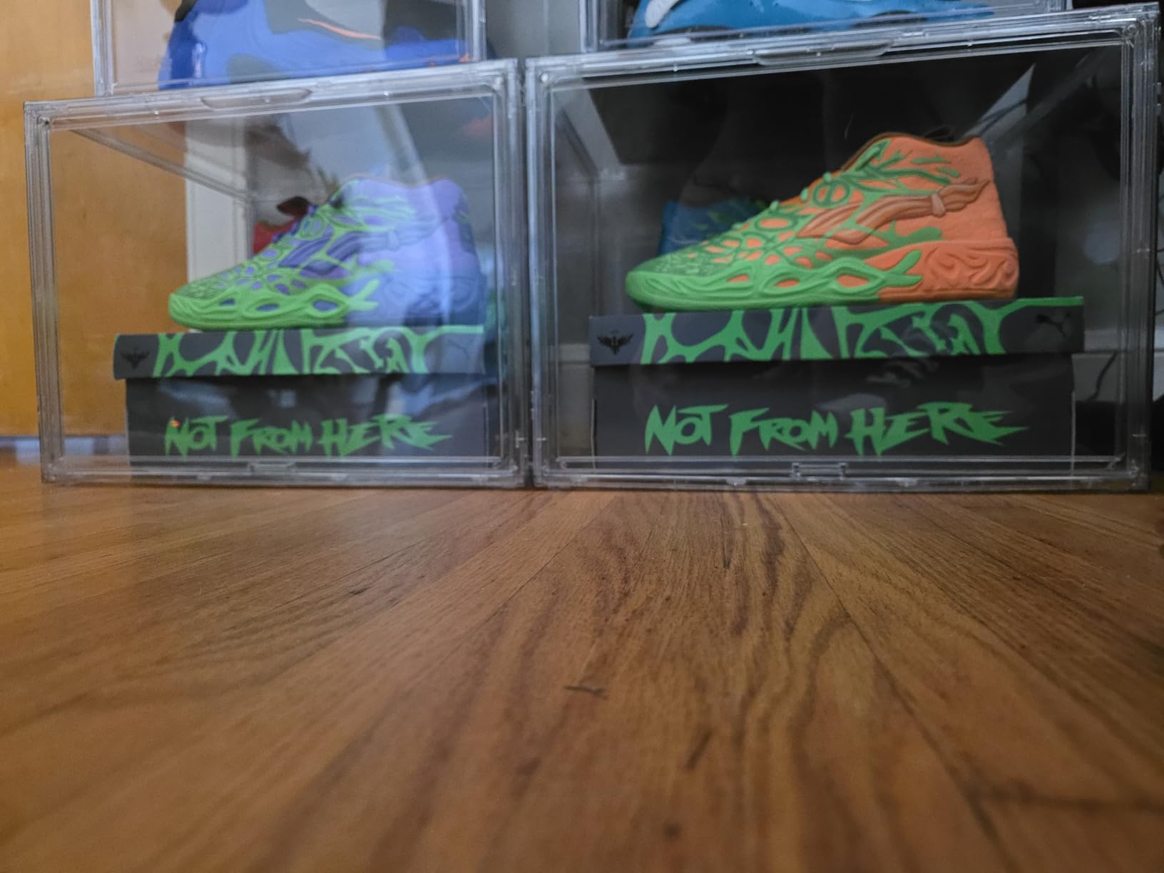 XXX-Large Clear Display Case 17.7