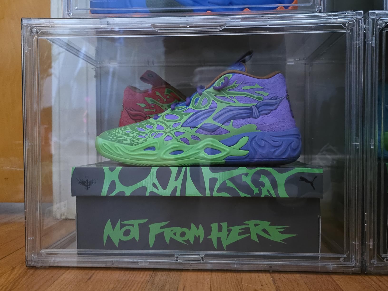 XXX-Large Clear Display Case 17.7