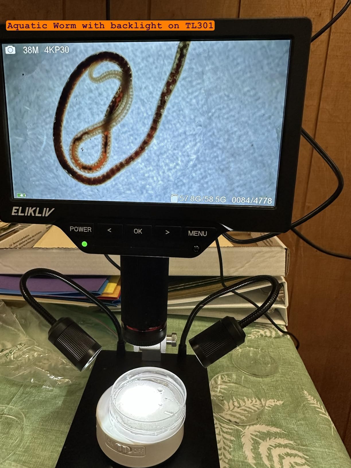 Elikliv 4K 3-Lens Digital Microscope: TL301-Magnetic Coin Microscope Magnifier Full Coin View, Soldering Microscopes for Adults with 7