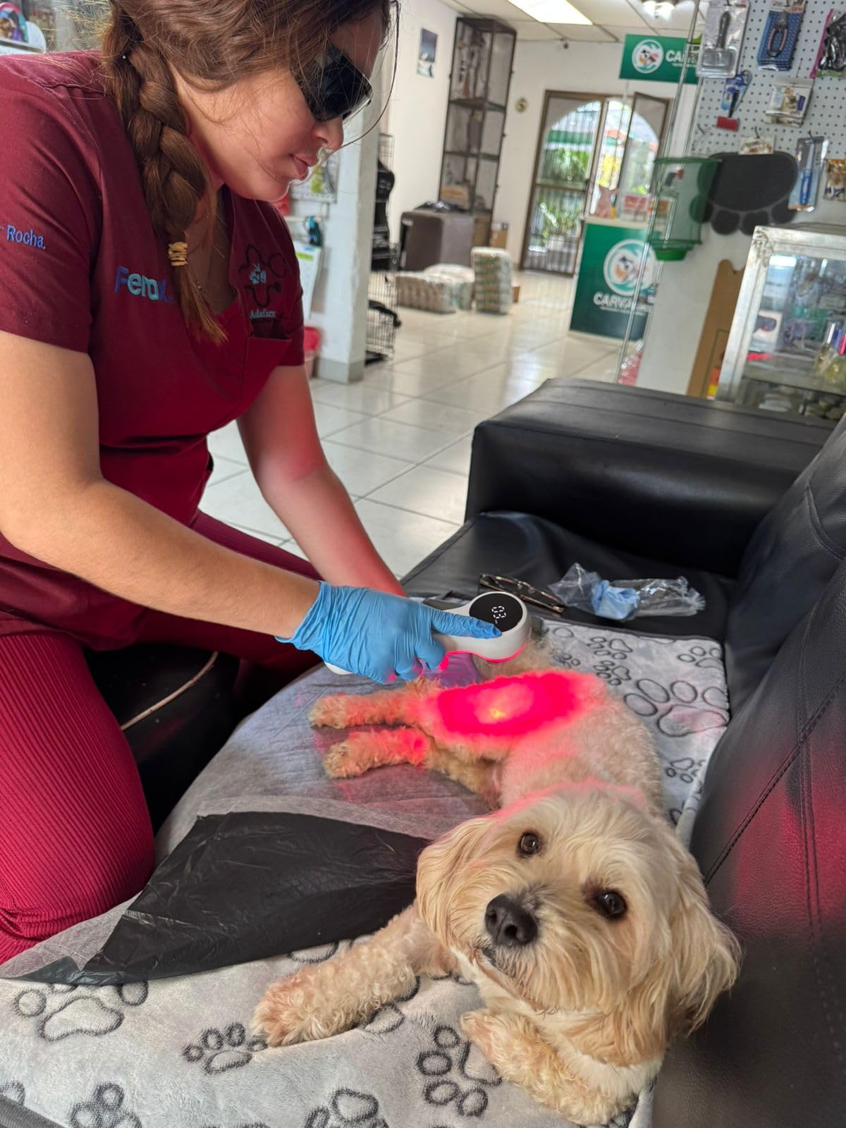 Mibest Cold Laser Therapy Device for Vet - Red Light Therapy for Dogs and Cats - Infrared Light Therapy Targets Joint and Muscles - Pain Relief, Arthritis, Spinal, Wound Healing (4x808nm + 12x650nm) customer photo 1