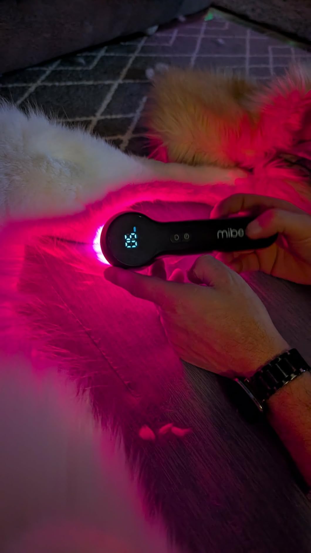 Mibest Cold Laser Therapy Device for Vet - Red Light Therapy for Dogs and Cats - Infrared Light Therapy Targets Joint and Muscles - Pain Relief, Arthritis, Spinal, Wound Healing (4x808nm + 12x650nm) customer photo 2