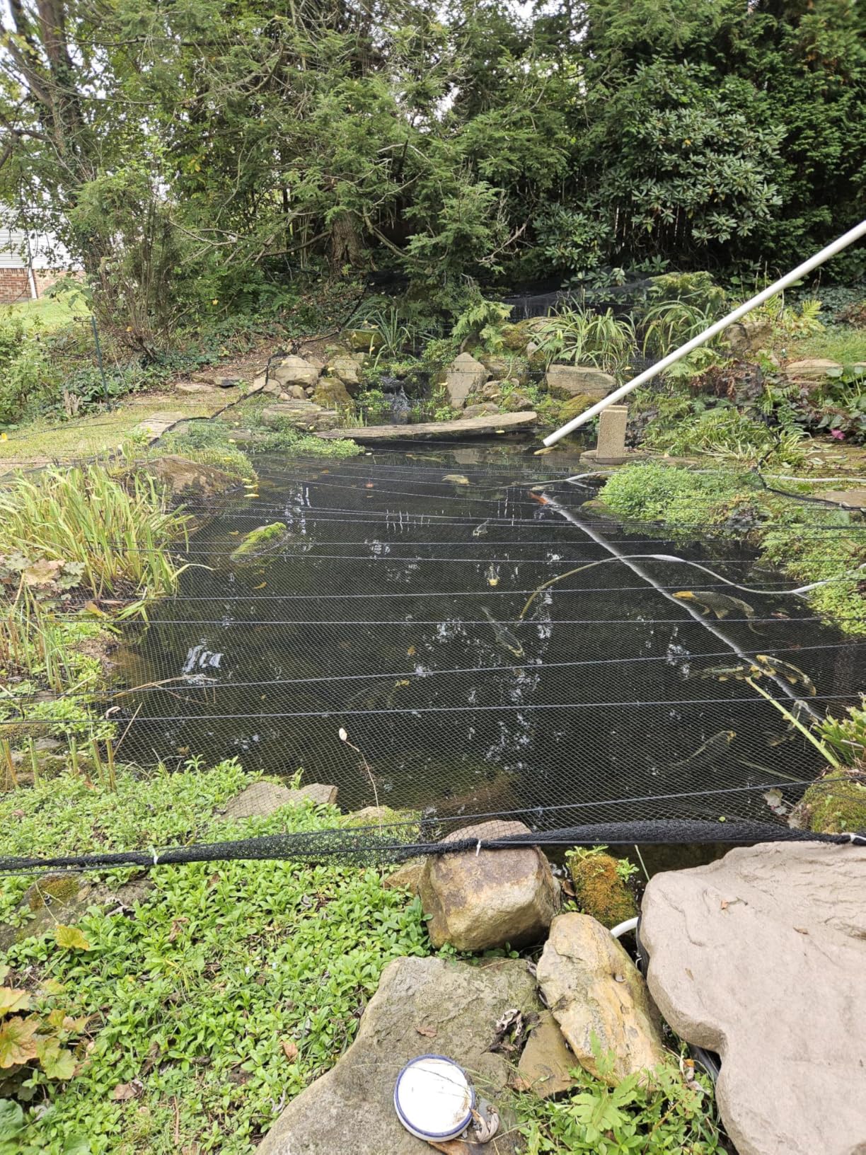 Koi Pond Netting for Leaves 25x50 Ft, 1 in Strong Woven Fine Mesh Pond Leaf Net Cover, Protecting Koi Fish from Herons, Raccoons, Birds, Cats & Predators, 28 Pcs Stakes Included customer photo 1