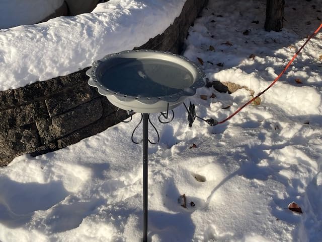 Heated Bird Bath for Outside Winter, Powerful 100W Thermostat Control Heated Bird Baths for Outdoors with 5-Prong Metal Stake, Heated Birdbath Water Heater for Garden Yard Patio Lawn (Blue) customer photo 2