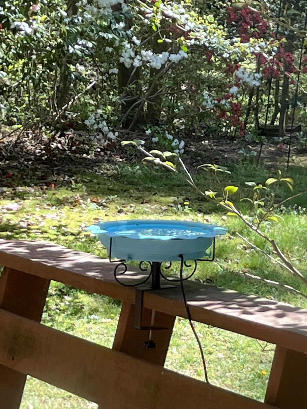 Heated Bird Baths for Outdoors, 100W Heated Bird Bath for Deck Railing, Heated Birdbath with Thermostat Control, Heated Bird Bath for Outside Winter Garden Patio Yard (Blue) customer photo 1