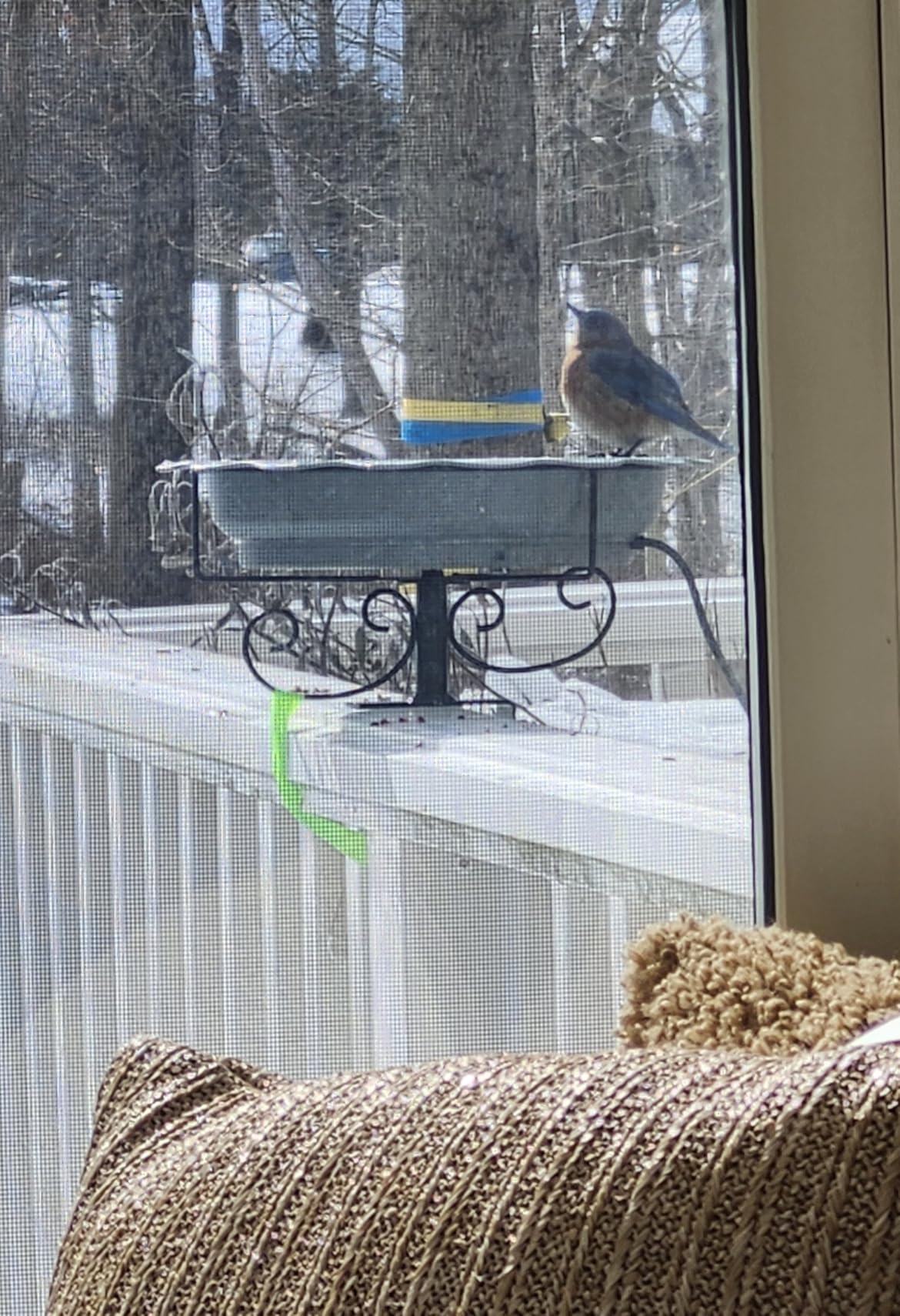 Heated Bird Baths for Outdoors, 100W Heated Bird Bath for Deck Railing, Heated Birdbath with Thermostat Control, Heated Bird Bath for Outside Winter Garden Patio Yard (Blue) customer photo 2