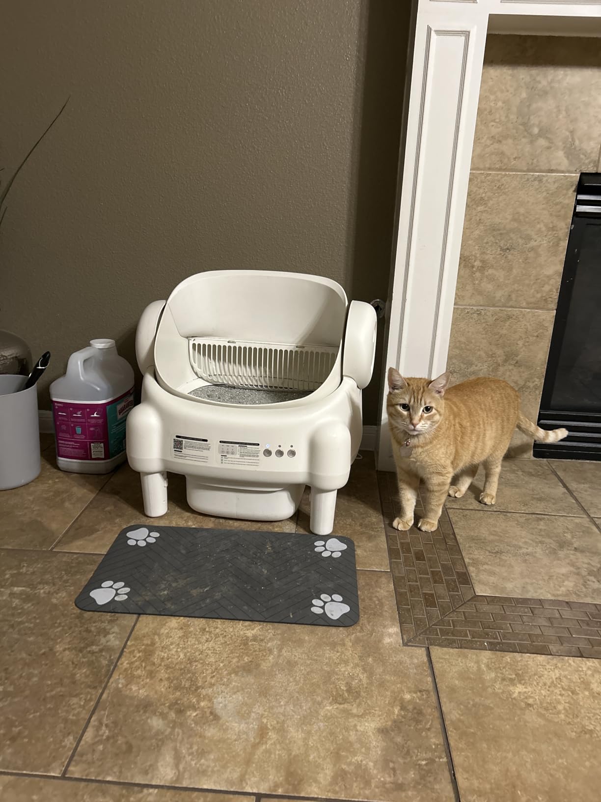 Self Cleaning Litter Box, Open Top Automatic Litter Box with App Control for Multiple Cats, Safety Sensors Protection, Odor Control Includes 2 roll Liners, Large Waste Bin, Cream White customer photo 2