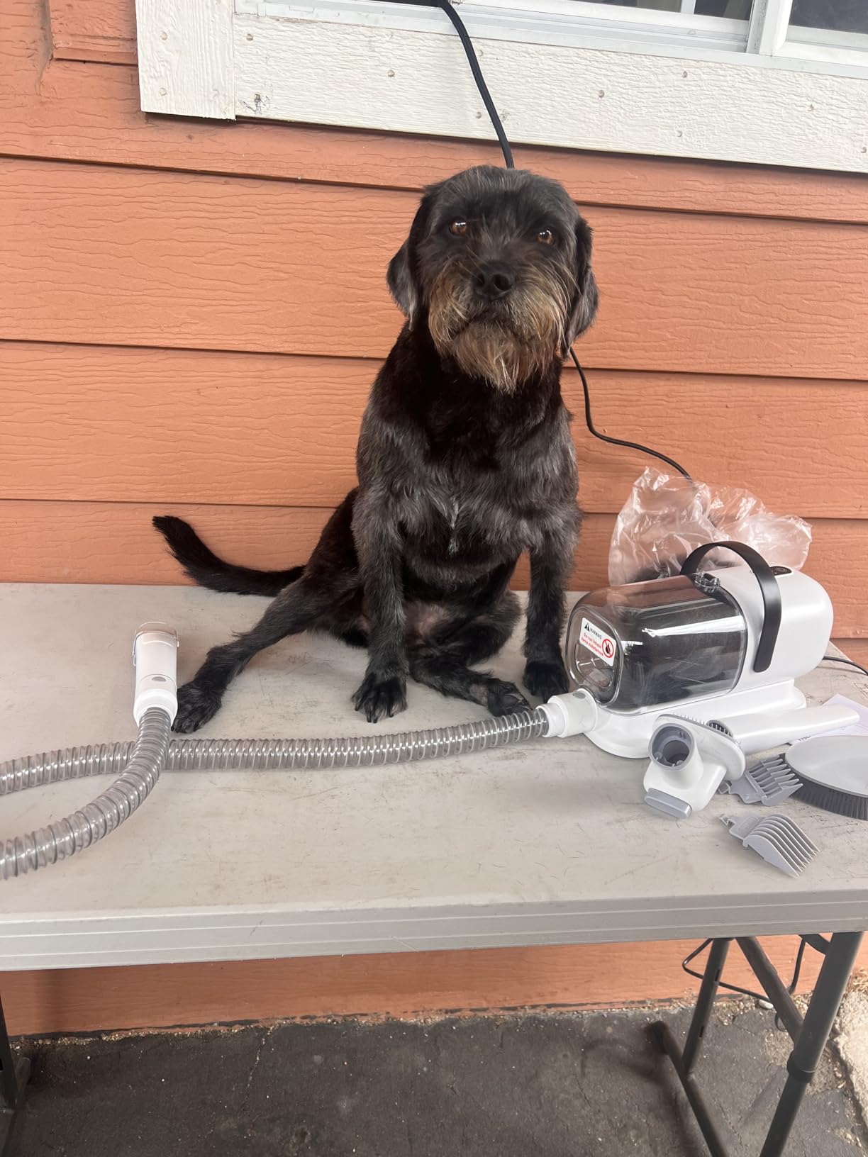 FIXR Dog Grooming Vacuum, All-in-One Pet Grooming Kit with Hair Clipper & Shedding Brush, Low Noise 12,000Pa Dog Hair Remover Vacuum, Pet Groomer Set with Cleaning Brushes, PG01 customer photo 1