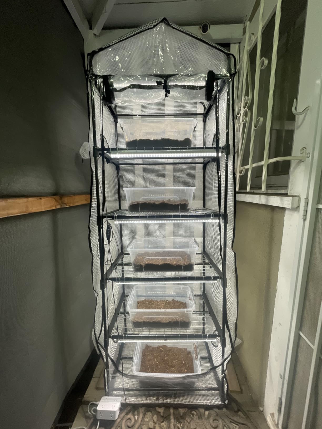 Windyun 5 Tier Extra Tall Mushroom Grow Tent Kit with Light & Timer, 80 x 19 x 27 Inch & 6500k Greenhouse with LED Grow Light, 4