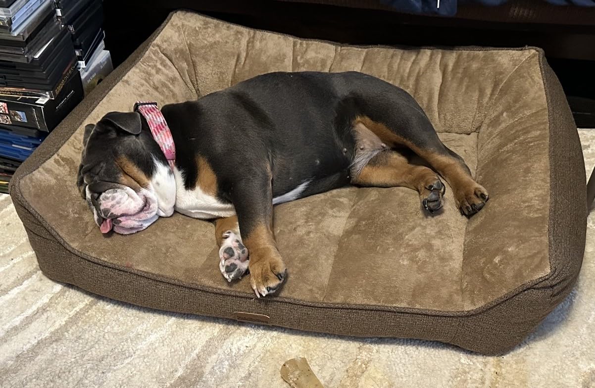 ZAKAPAWS Orthopedic Dog Bed for Extra Large Dogs - Extra Thick Supportive Dog Couch Bed customer photo 1