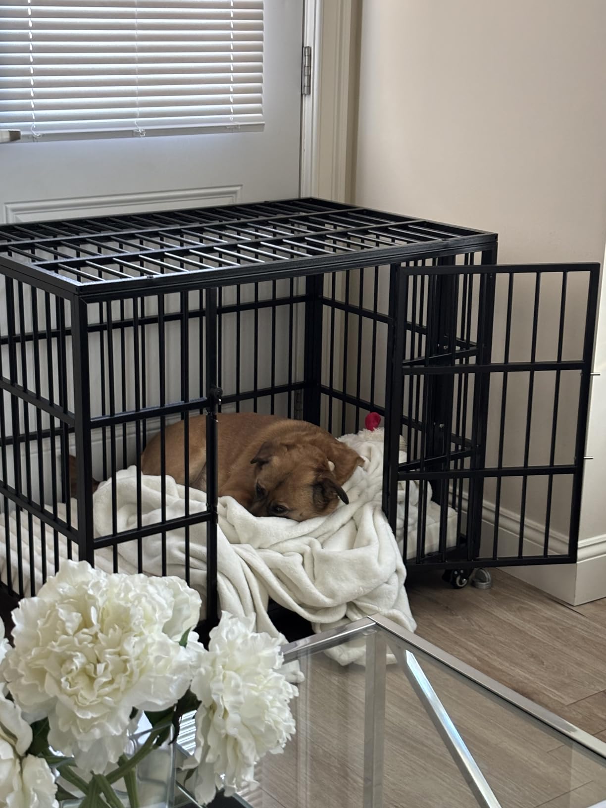 VERIFURTY 48 Inch Heavy Duty Dog Crate for Large Dogs with Self-Locking Latch, Escape-Proof Steel Kennel Indoor, XL Large Double Door Metal Pet Cage with Wheels customer photo 2
