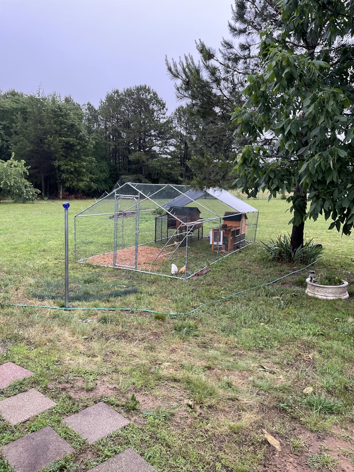 Large Metal Chicken Coop with Run for Yard with Waterproof &Anti-UV Cover,19.7 x 10 x 6.4ft Outdoor Walk-in Poultry Cage Chicken Run Pen with Roosting Perch, Hen Duck Rabbit House customer photo 2