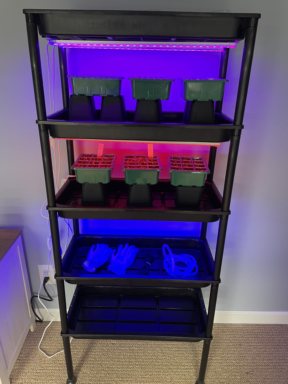 RooTrimmer 5-Tier Hydroponics Growing System, Plant Stand with Grow Lights, Ebb and Flow Seedbeds, Siphoning Watering, Designed for Nursery Cell Trays, Plant Pots customer photo 1