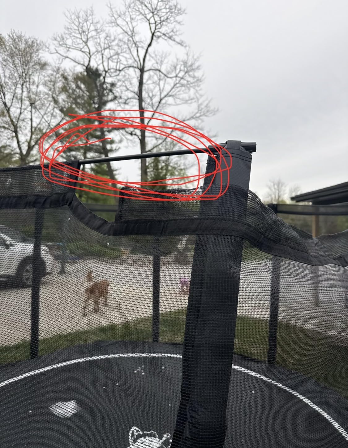 Round In-Ground Trampoline - Heavy-Duty Flush-to-Ground Outdoor Jumping Mat with Galvanized Frame, Safety Padding & Easy Install Kit | Ideal for Kids, Families & Athletes| 12 or 14 FT Diameter Trampoline customer photo 1