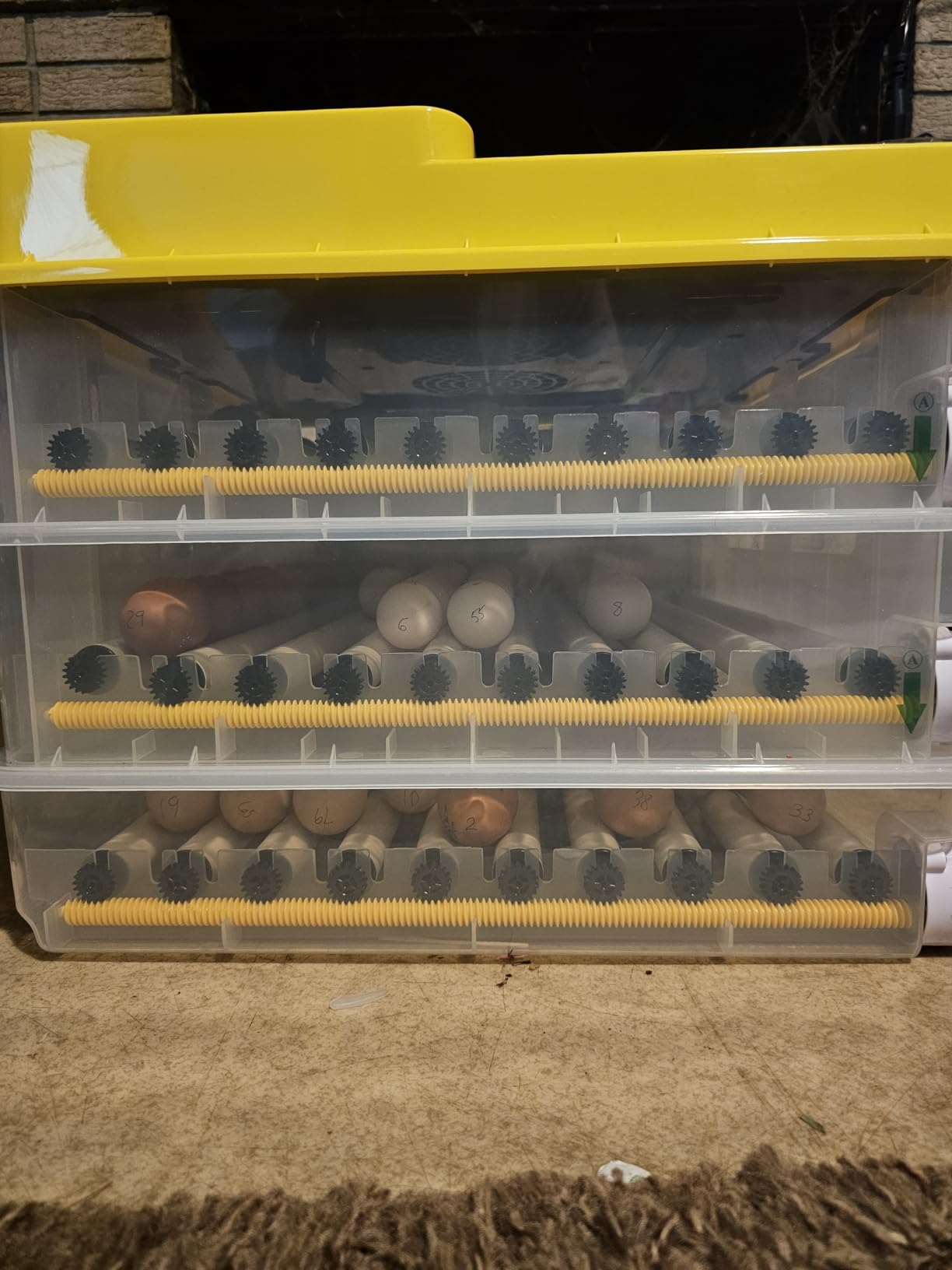 216 Egg Incubator for Hatching Eggs with Fully Automatic Egg Turning, Humidity Control by Bottles, Incubators for Chicken, Ducks, Quail, and Other Poultry Eggs, 360 Degree View with Clear Window customer photo 1