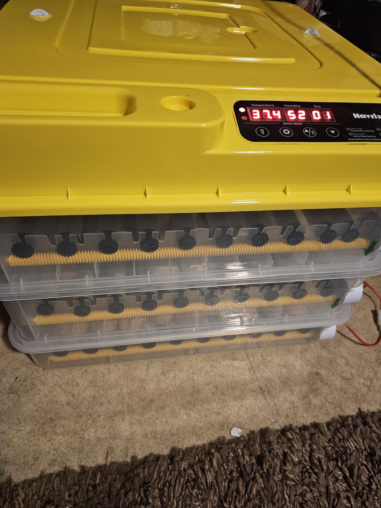 216 Egg Incubator for Hatching Eggs with Fully Automatic Egg Turning, Humidity Control by Bottles, Incubators for Chicken, Ducks, Quail, and Other Poultry Eggs, 360 Degree View with Clear Window customer photo 2