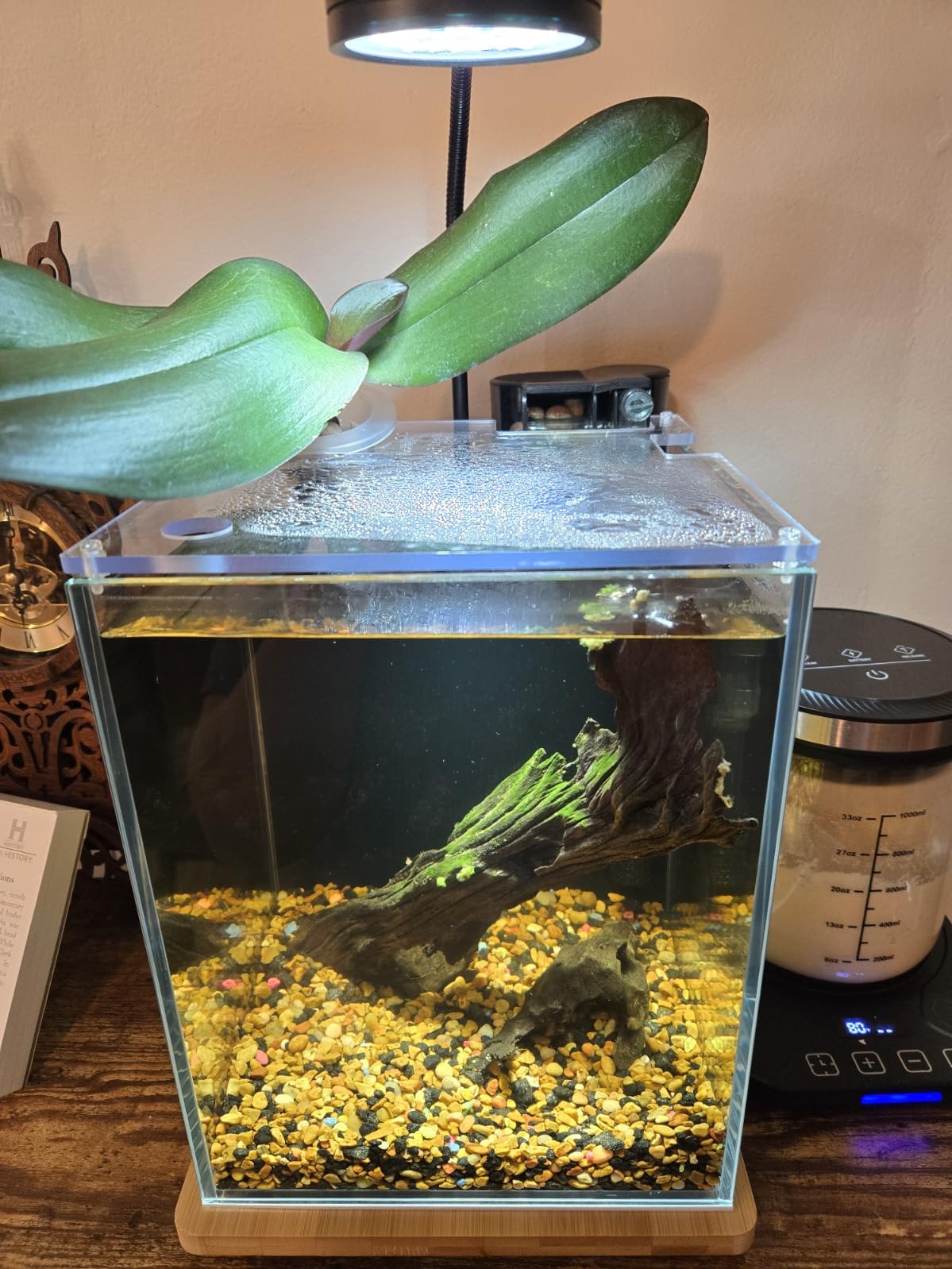 2.5 Gallon Nano Aquarium Kit with Bamboo-Base LED Light, Hanging Filter and Hydroponic-Ready Lid - Ideal for Betta, Shrimp, or Aquatic Plants customer photo 1