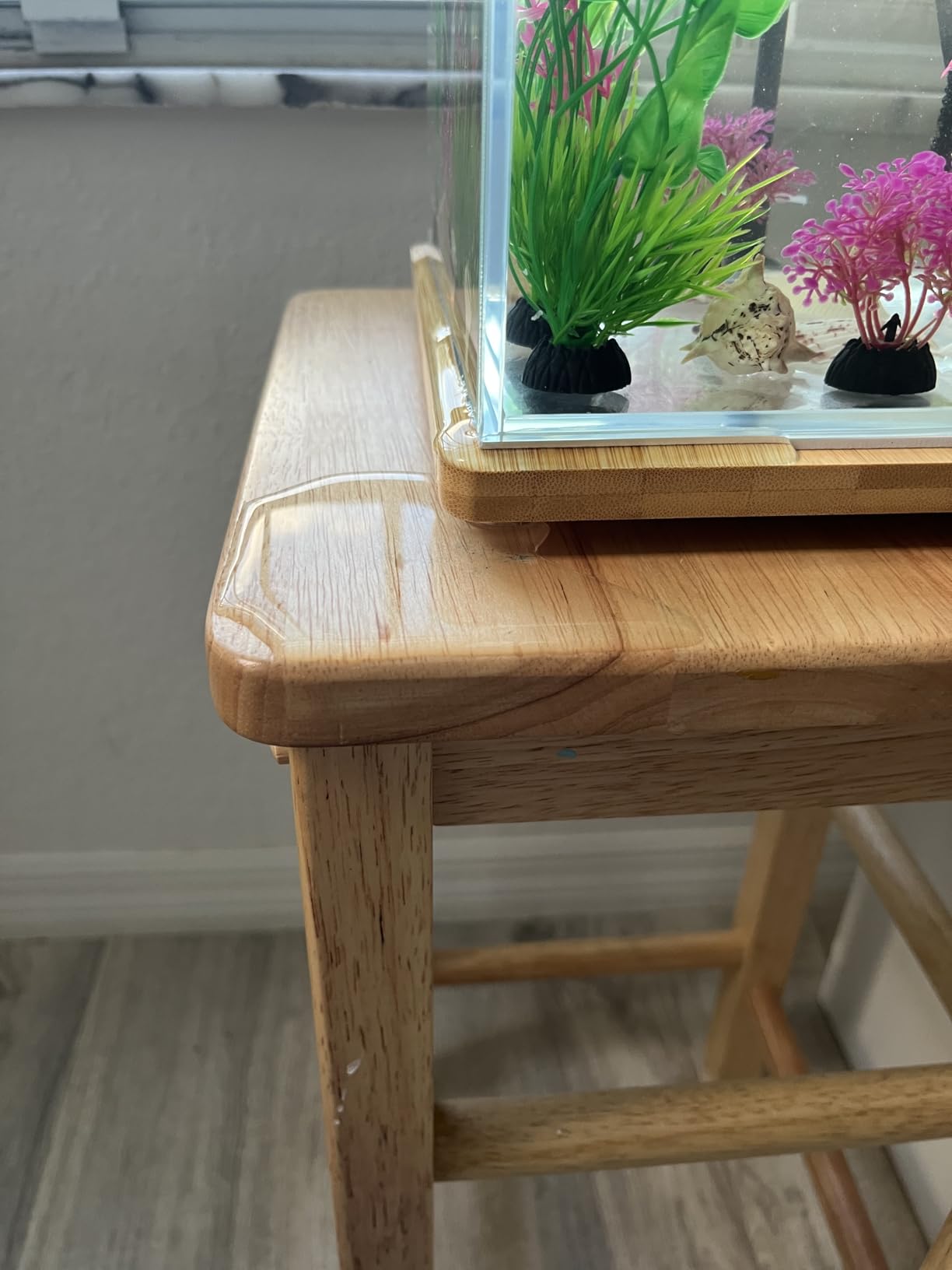 2.5 Gallon Nano Aquarium Kit with Bamboo-Base LED Light, Hanging Filter and Hydroponic-Ready Lid - Ideal for Betta, Shrimp, or Aquatic Plants customer photo 2