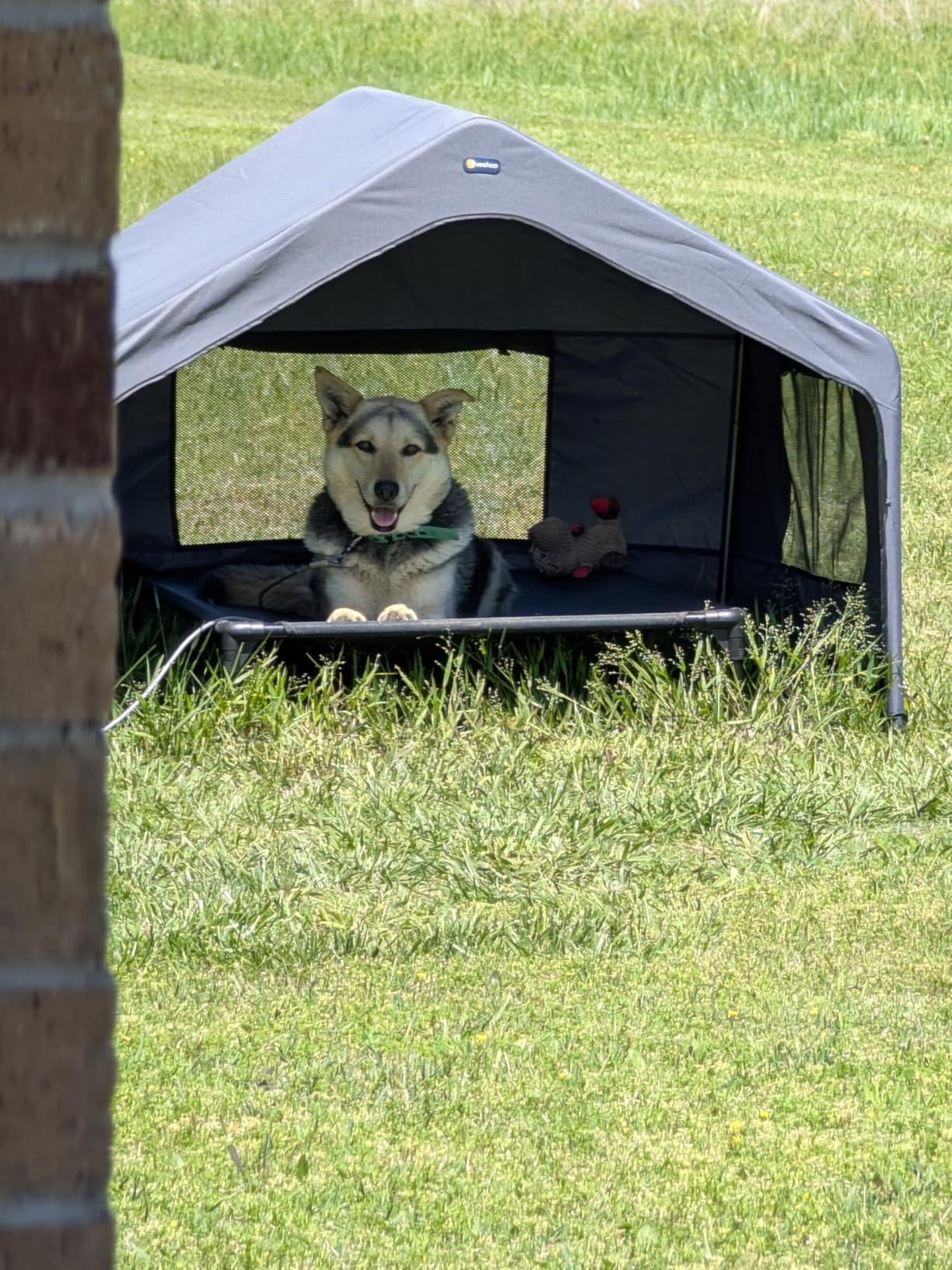Veehoo Extra Large Dog House Outdoor with Elevated Dog Bed, Outside Dog Tent 4.1' x 4.1' x 3.3', Weatherproof Dog Shade Shelter and Raised Bed Combo for Pets or Stray Animals, Grey customer photo 1