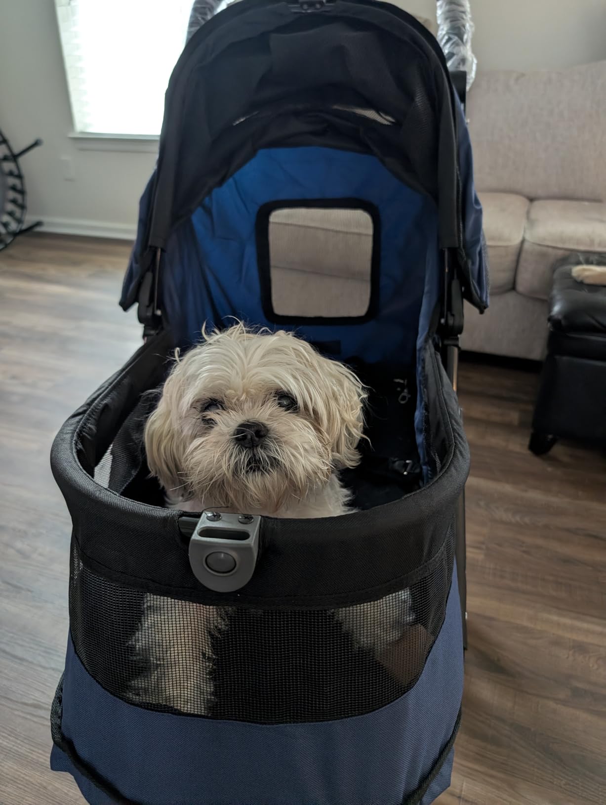Pet Gear No-Zip Jogger Pet Stroller for Cats/Dogs, Zipperless Entry, Airless Tires, Easy One-Hand Fold, Cup Holder + Storage Basket, Salt - Extra Large customer photo 1