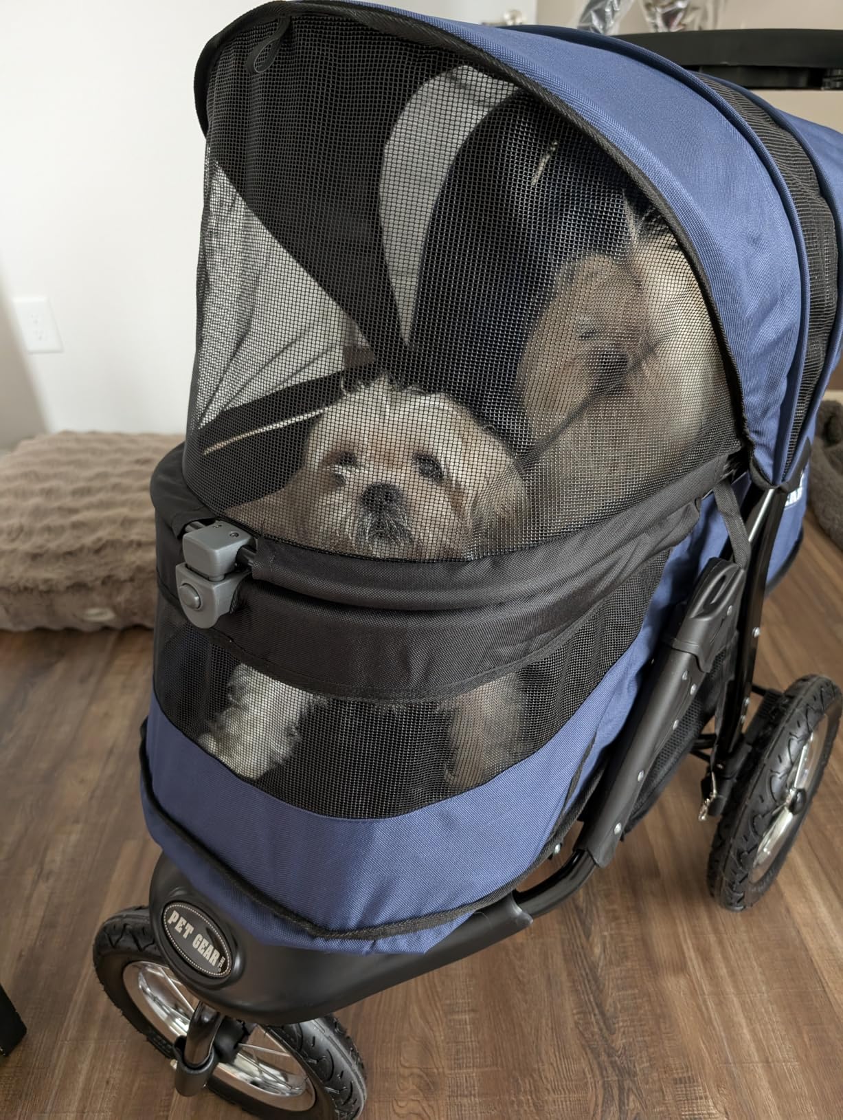 Pet Gear No-Zip Jogger Pet Stroller for Cats/Dogs, Zipperless Entry, Airless Tires, Easy One-Hand Fold, Cup Holder + Storage Basket, Salt - Extra Large customer photo 2