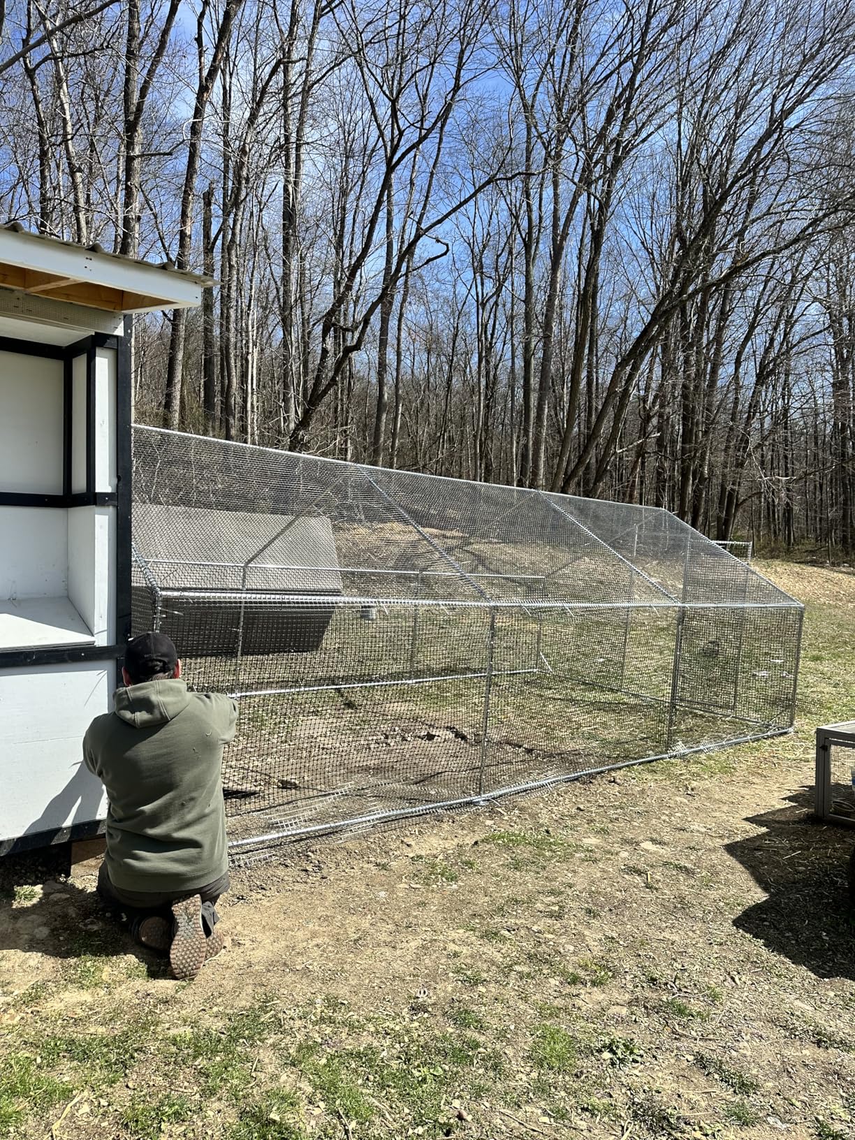 CAMMOO Metal Chicken Coop with Run, 19.7x9.8x6.6ft, Walk-in Chicken Run for Yard with Cover, Upgrade Double Lock & Rust-Proof Mesh, Stainless Steel Ties, Easy Assembly, Chicken Pen for Ducks, Rabbits customer photo 1