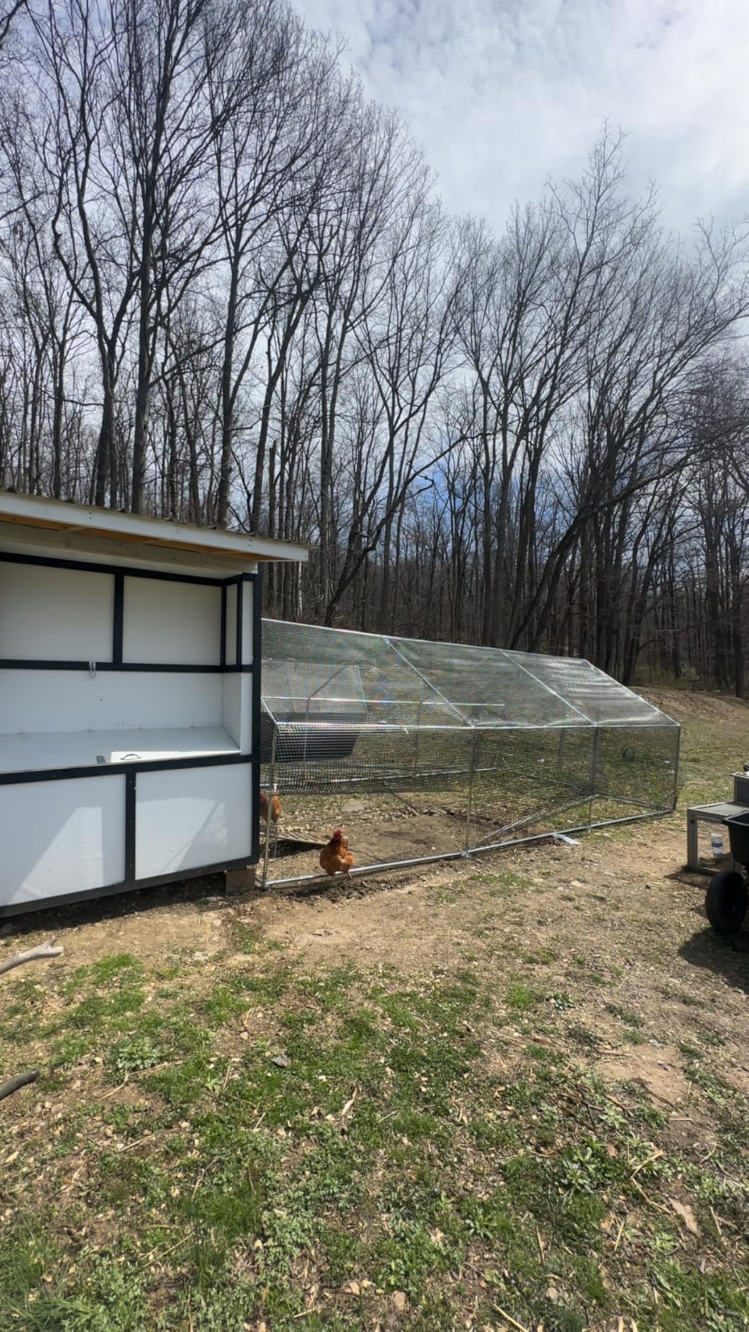 CAMMOO Metal Chicken Coop with Run, 19.7x9.8x6.6ft, Walk-in Chicken Run for Yard with Cover, Upgrade Double Lock & Rust-Proof Mesh, Stainless Steel Ties, Easy Assembly, Chicken Pen for Ducks, Rabbits customer photo 2