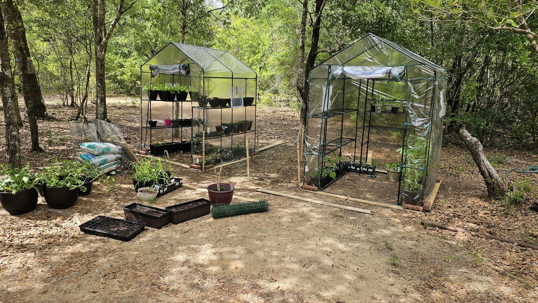 Quictent Essential Walk-in Greenhouse for Outdoors, 56x56x77 inch Portable 3-Tier 4-Shelf Garden Hot House Kit with Plastic Cover for Winter Seed Starting Plant Protection Backyard Patio, Clear customer photo 2