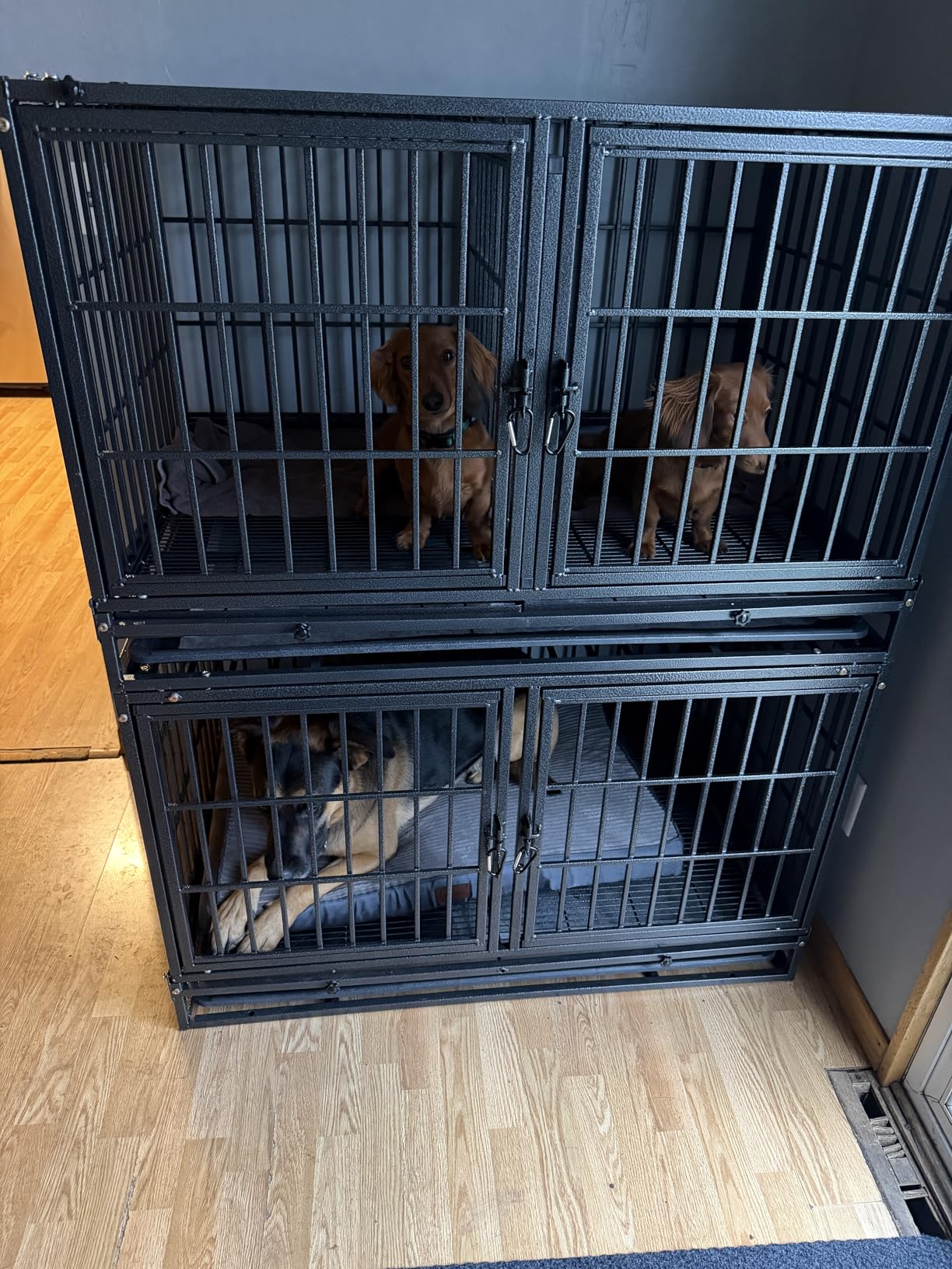 Homey Pet Heavy Duty Dog Crates for Large Dogs, 47 Inch Stackable Large Dog Crate Cage customer photo 1