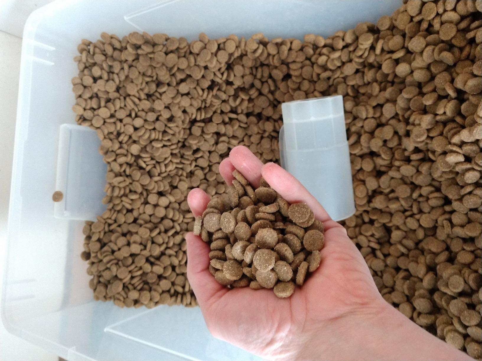 Diamond Naturals Adult Dry Dog Food Beef Meal and Rice Formula Made with Quality Pasture-Raised Beef Protein, Probiotics and Essential Nutrients customer photo 1
