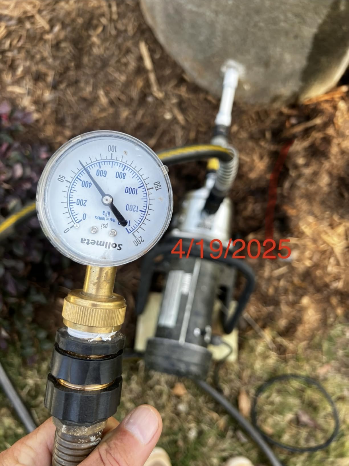 WAYNE PLS100 1 HP Portable Stainless Steel Lawn Sprinkling Water Pump - Up to 850 Gallons Per Hour - Heavy Duty Outdoor Pump for Sprinkler Systems customer photo 1