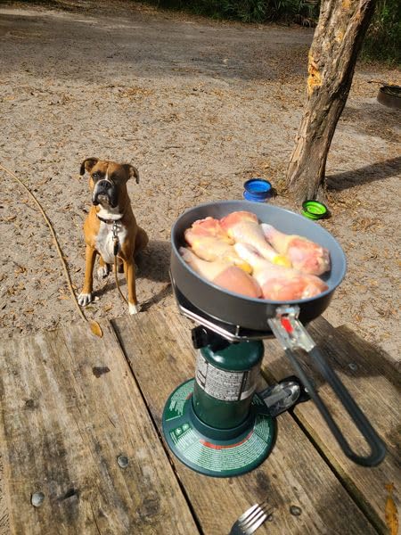 Coleman BottleTop Propane Stove with Adjustable Burner, Portable Camping/Backpacking Cooker with 7650 BTUs of Power customer photo 1