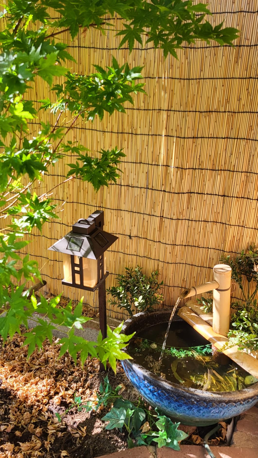 Bamboo Accents 12