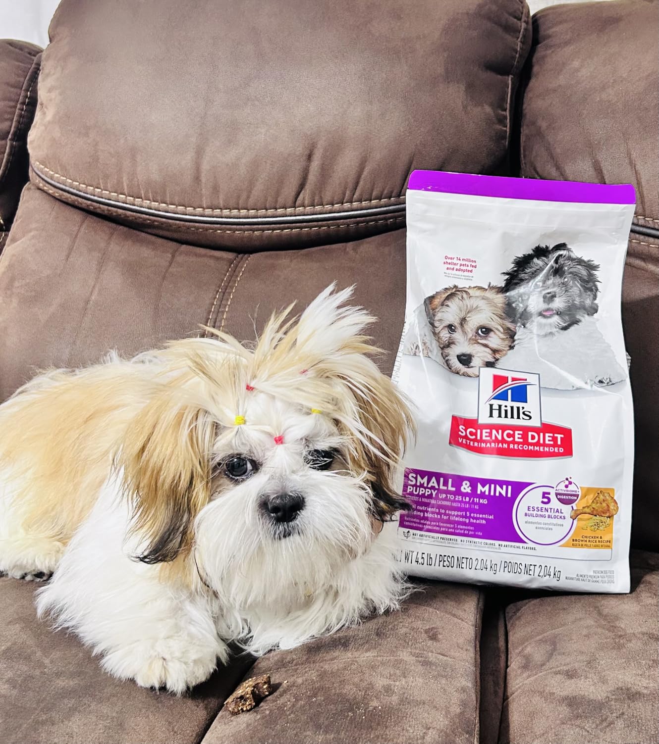Hill's Science Diet Puppy Small & Mini Dry Dog Food, Chicken & Brown Rice, 4.5 lb. Bag customer photo 2