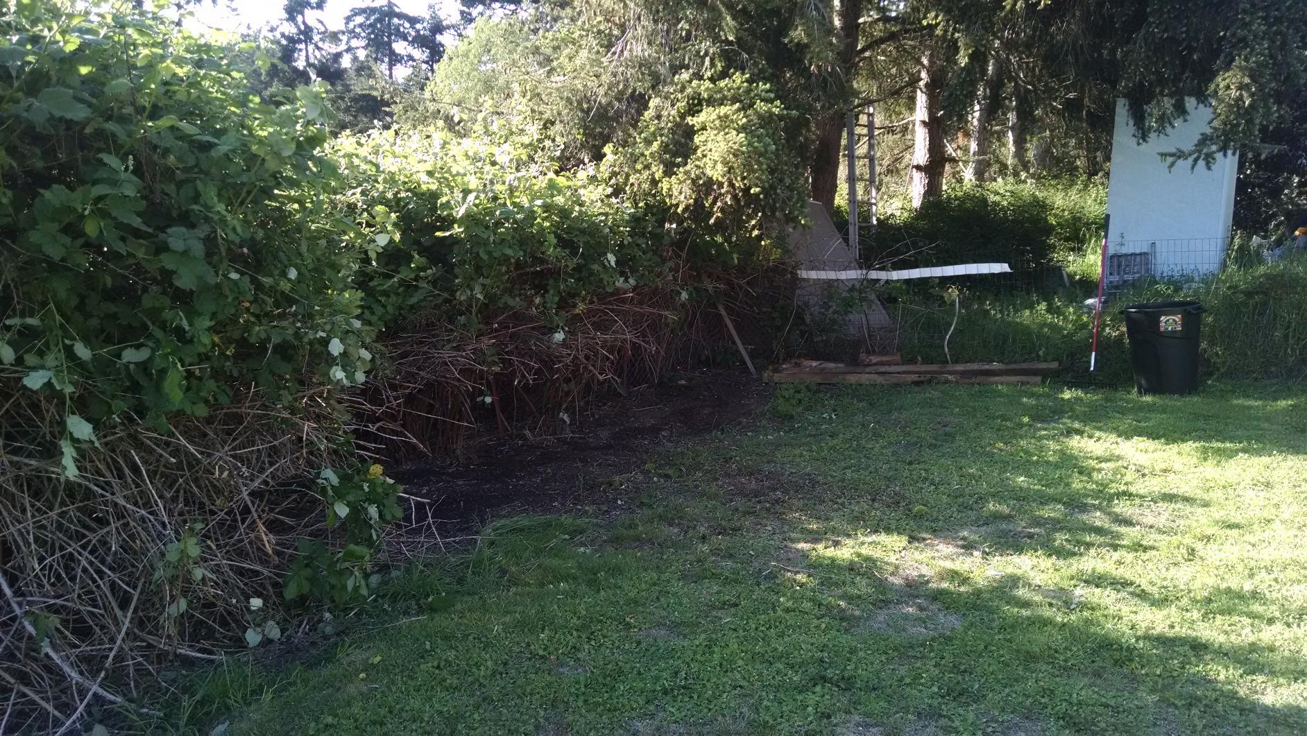 TrimmerPlus BC720 Brushcutter with J-Handle for Attachment Capable String Trimmers, Polesaws, and Powerheads, 8 customer photo 1
