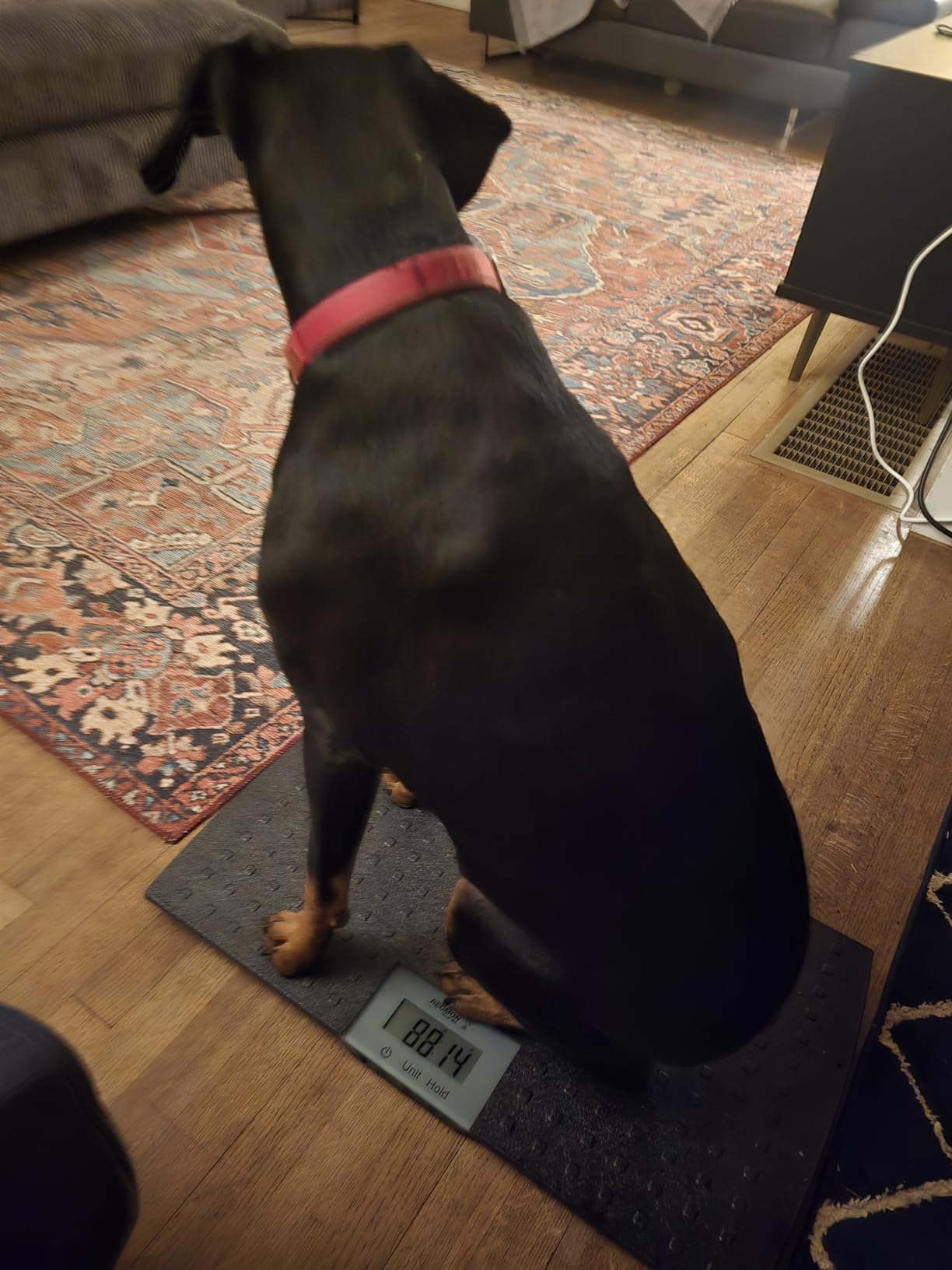 Redmon Digital Dog Scale for Large Pet & Animal with Non-Skid Mat, 225 Lb Capacity, Black - Portable Weighing Scale for Dogs, Puppies, Cats, and Livestock customer photo 1