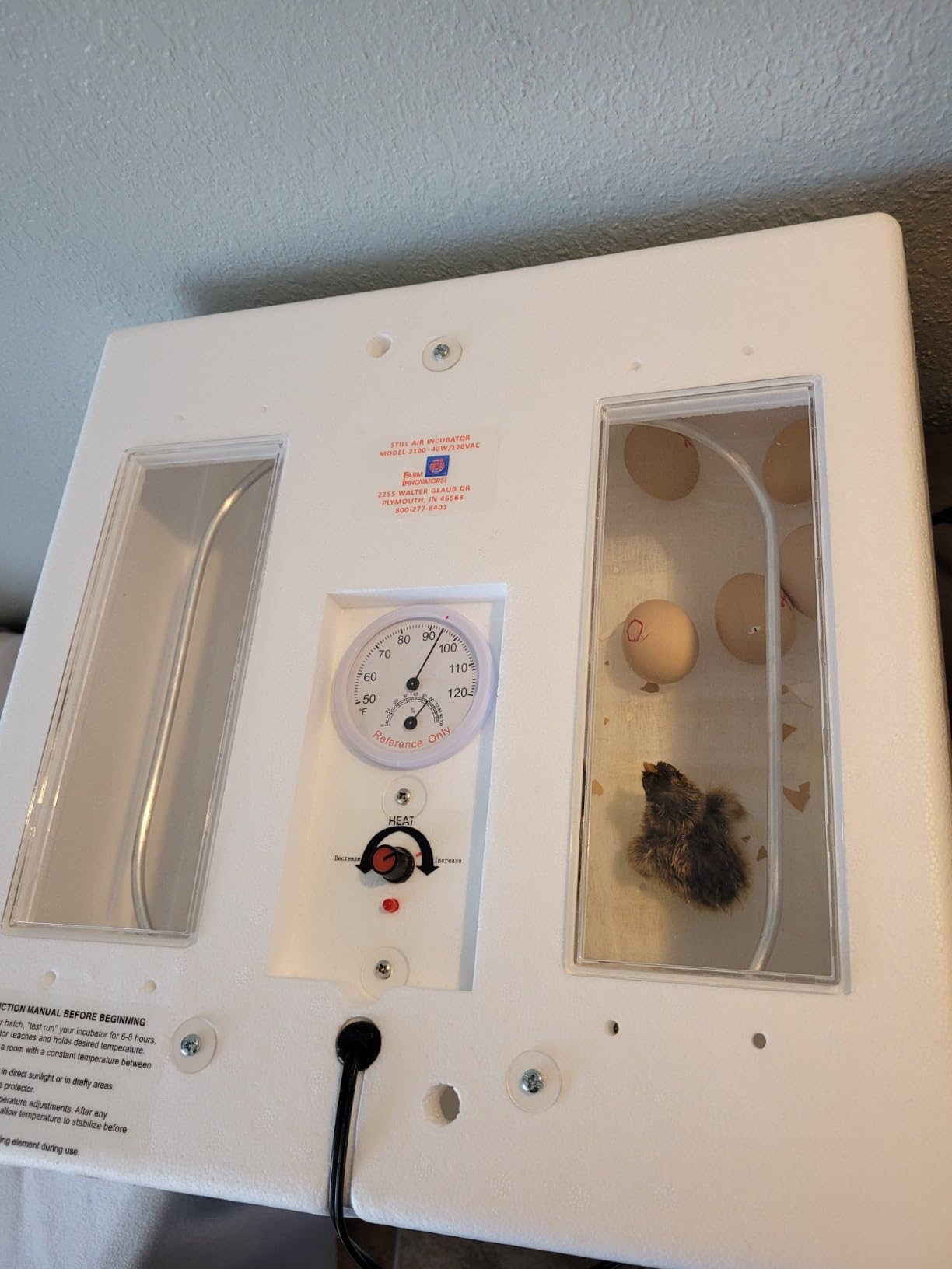 Farm Innovators 2100 Heated Still Air Incubator for 4 Dozen Eggs with Built in Hygrometer, Solid State Circuitry, and 2 Large Viewing Windows, White customer photo 3
