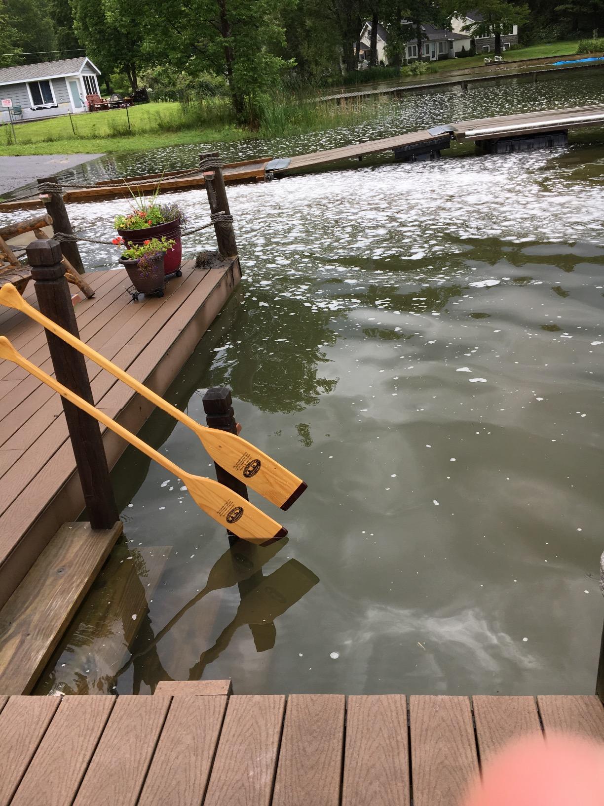 CROOKED CREEK 4-foot Wooden Boat Paddle - Multi-Ply Laminated Construction for Added Strength - Lightweight, Waterproof Finish customer photo 1