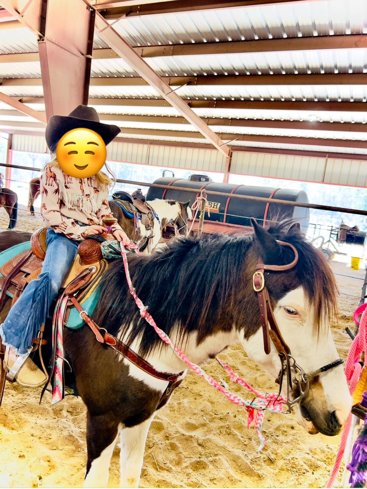 Weaver Leather Braided Nylon Barrel Rein, Hurricane customer photo 2