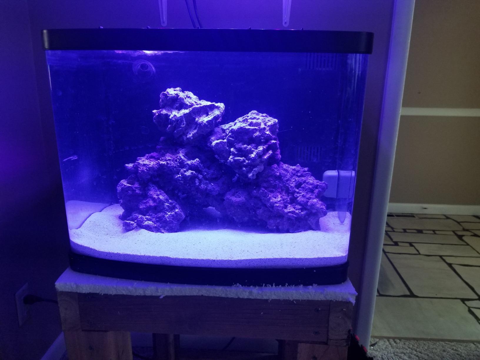 CaribSea Aquatics Life Rock Display Box, 20 lb customer photo 1