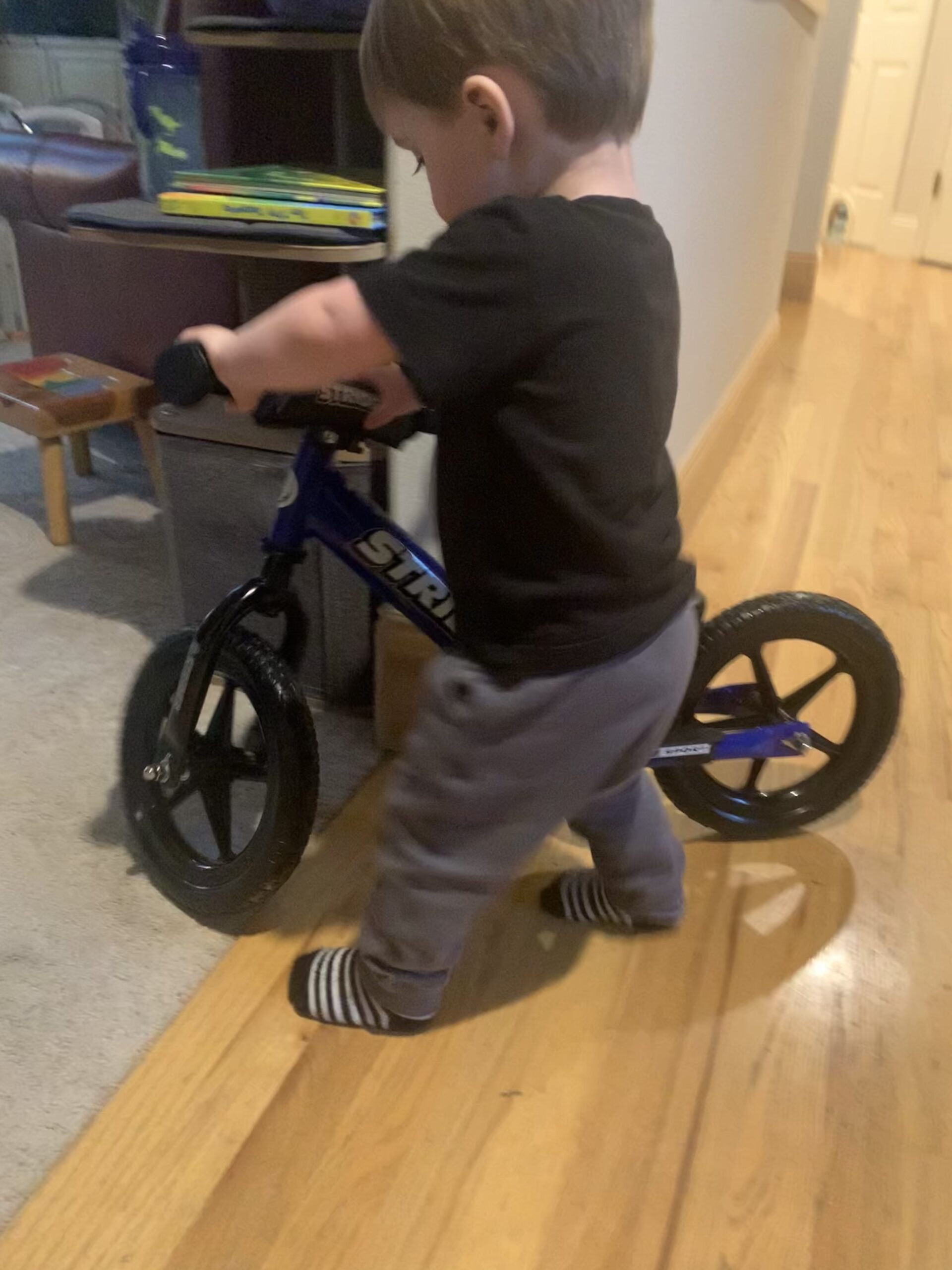 Strider 12 Sport Bike - No Pedal Balance Bicycle for Kids 1 to 4 Years customer photo 1