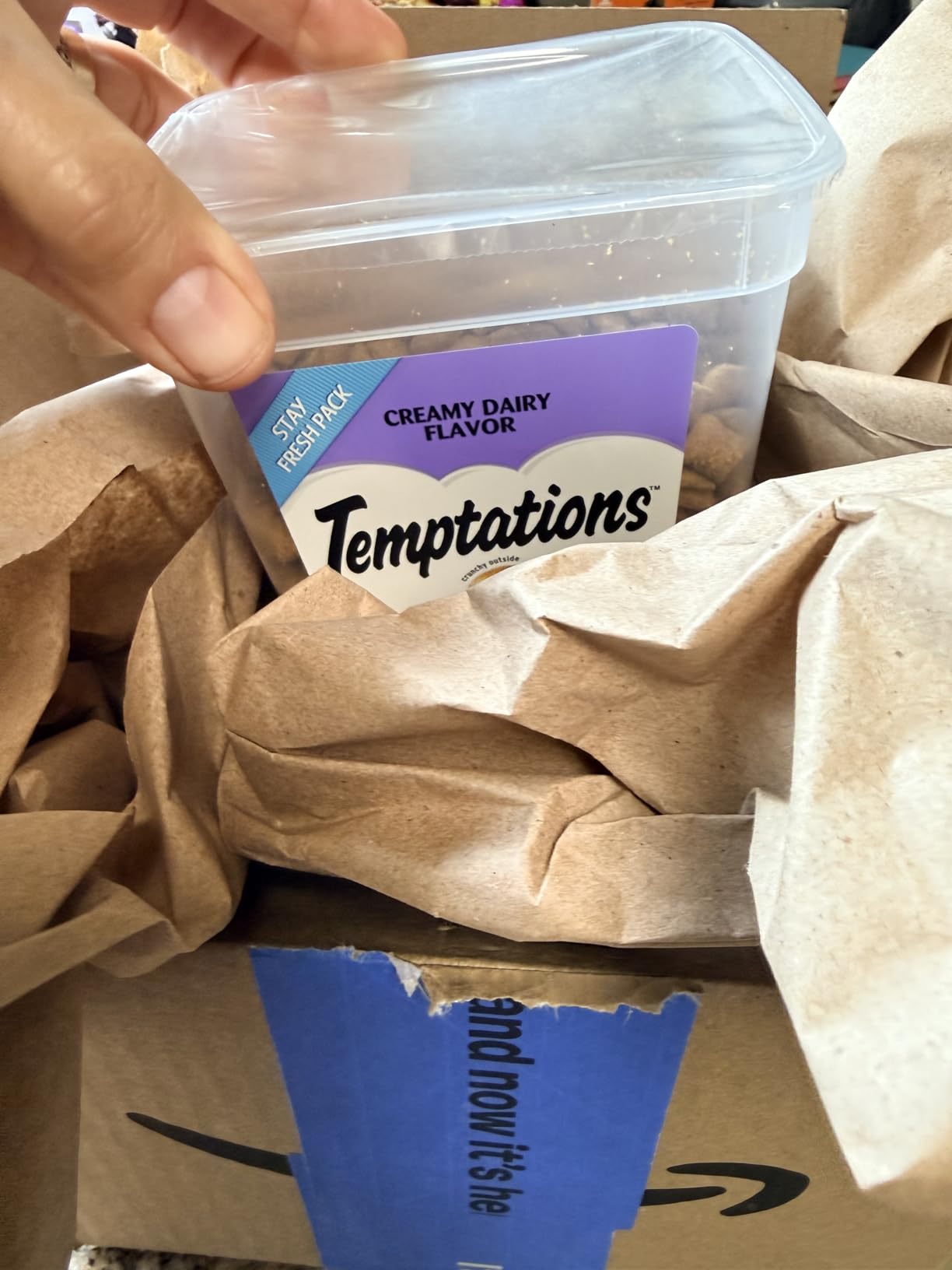 Temptations Classic Crunchy and Soft Cat Treats, Creamy Dairy Flavor, 16 oz. Tub customer photo 1