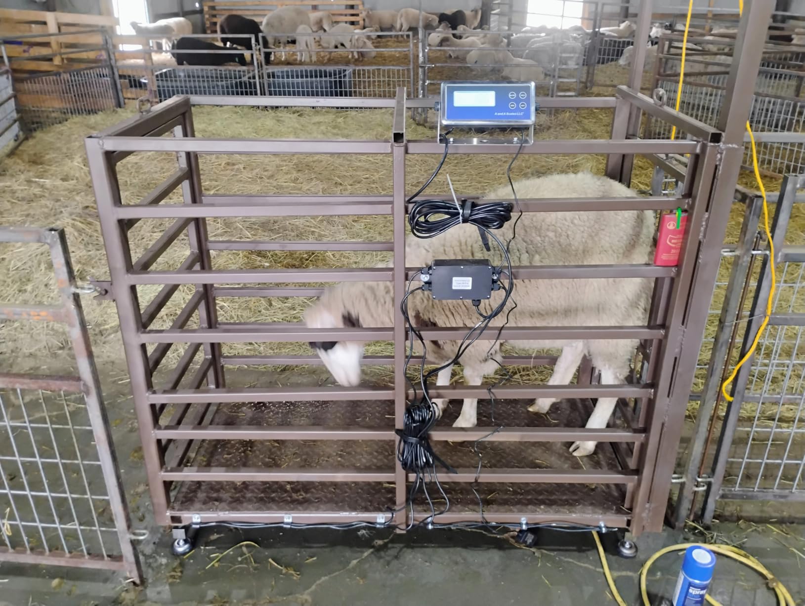 FSK Livestock Scale Kit Build Your Own Scale at a Fraction of The Price customer photo 2