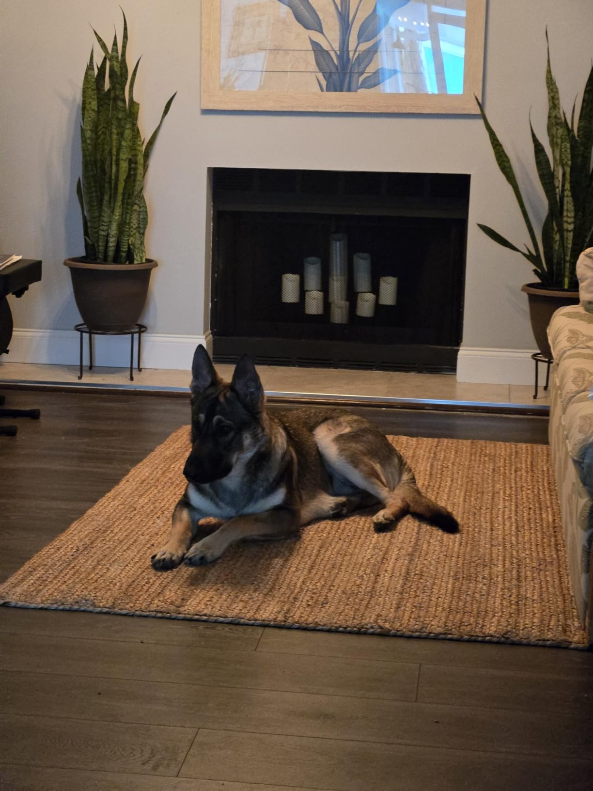 nuLOOM 6x9 Rigo Jute Hand Woven Area Rug, Natural, Solid Farmhouse Design, Natural Fiber, For Bedroom, Living Room, Dining Room, Hallway, Office, Kitchen, Entryway customer photo 2